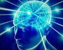 brain